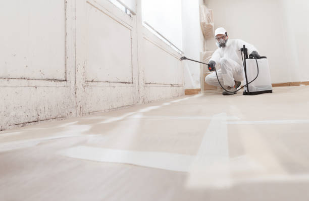 24/7 Emergency Mold Remediation experts in Wheaton, MD