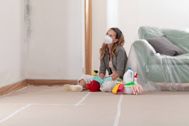Reliable Mold Remediation contractor in Wheaton, MD by 24 Hour Mold Removal